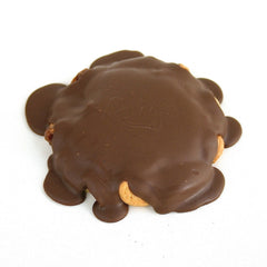 Milk Chocolate Turtlezilla